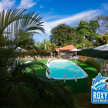 Roxy'S Bed & Breakfast Boca Chica Luaran gambar
