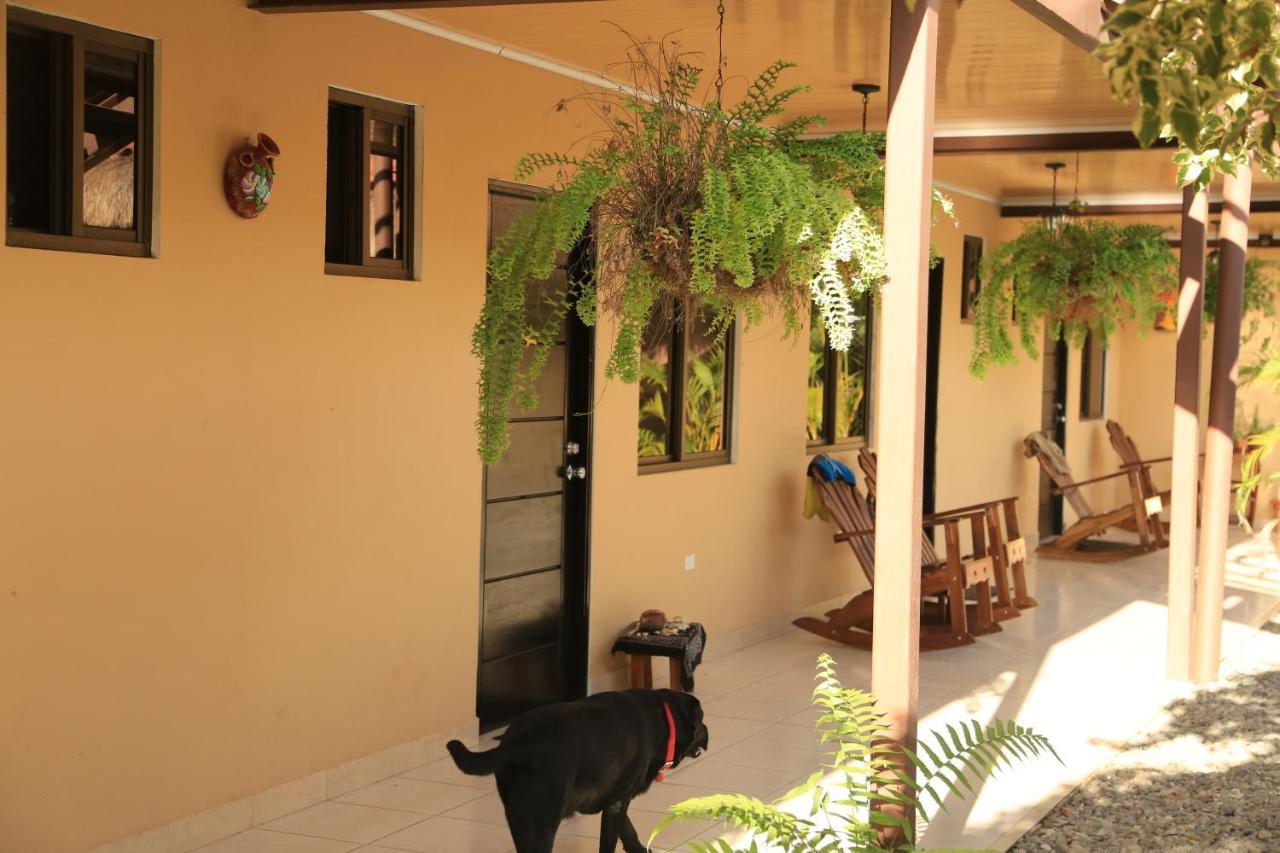 Roxy'S Bed & Breakfast Boca Chica Luaran gambar